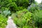 A pathway through a cottage garden, with lush green foliage and multi-coloured flowers