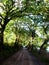 Pathway in the country, green trees and grasses