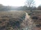 Pathway, county side walks, heather moorland, moor, Sandy pathway