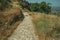 Pathway covered by bushes and rocks near Monsanto