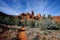 pathway in the desert leading towards cathedral mountain in sedona arizona