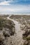 Pathway Through the Dunes To the Ocean