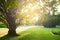 Pathway in empty sunshine green park at the sunset, tranquil scene