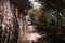 A pathway in the forest along the walls of an italian medieval village Gubbio, Italy, Europe