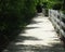 Pathway garden on the edge of the path Cement flooring in a bamboo garden