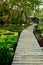 Pathway in the garden at Fang hot spring