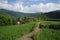 A pathway in between green fields with blurred mountains in the background, cloudy blue sky