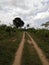 a pathway in green land with clouds