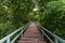 Pathway into the Jungle.  bridge at misty tropical rain forest. Travel background ...