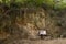 Pathway in jungle for Thai people and foreign walking and trekking travel visit Pha Chor canyon cliffs on nature trailing wild