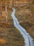 Pathway in the Kakerdaja Bog