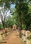 Pathway Leading to the Entrance of Sdok Kok Thom Khmer Temple Complex in Sa Kaeo Province, Thailand