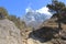 Pathway leading to the Khumbila mountain in Sagarmatha national park
