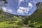 A pathway leads into idyllic landscape of lush green Cocora Valley with isolated tall wax palm trees, forested mountains, meadows