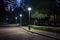 pathway light with motion sensor in a park area