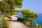 Pathway at Makarska, Croatia