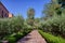 Pathway in Marrakech, Morocco