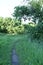 A pathway on meadow in early morning beware trees