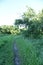 A pathway on meadow in early morning beware trees