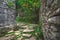 Pathway in the middle of abandoned jungle village in China