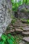 Pathway in the middle of abandoned jungle village in China