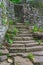 Pathway in the middle of abandoned jungle village in China