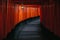 Pathway orii gates at Fushimi Inari Shrine at night and rain Kyoto, Japan