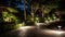 pathway outdoor yard lights