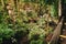 Pathway over a small river in the jungle. Walkway through a lush forest. (14-07-2022 - Ubud, Bali, Indonesia