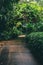 Pathway through a park full of a variety of trees