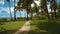 Pathway in park with palm trees close to beach