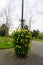 Pathway in a park with yellow flowers in a planter on a pathway