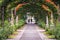 Pathway in Parque Garcia Sanabria, Santa Cruz de Tenerife