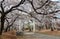 A pathway passes under a Torii entrance gate to a Jinja Shrine by vibrant Sakura trees & tourists admire beautiful cherry blossoms