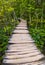 Pathway in Plitvice lakes park at Croatia