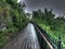 Pathway after rain