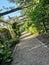 Pathway Through Rose Arbor