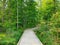 Pathway into Schmidt Woods