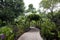 Pathway singapore botanic garden