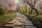 pathway with stepping stones and cherry blossoms in full bloom