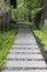 Pathway stones in the garden.