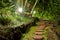 Pathway Stones in a Night Garden