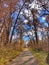 Pathway Through A Sunlit Fall Park
