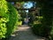 Pathway Through Sunlit Rose Arbors