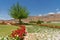 Pathway to the ancient Greco Roman city Hierapolis near Pamukkale in Turkey. Nature landscape