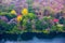 Pathway to small village in autumn mixed and deciduous forrest with the river in front, tranquility seasonal landscape.