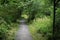 Pathway trail with green nature on sides