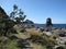 Pathway with tree on a Japanese rocky coast with blue sea water