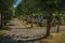 Pathway with trees in a peaceful cemetery, at the late afternoon sunlight at Damme.