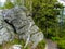 Pathway among trees and rocks in GÃ³ry Stolowe in Poland.